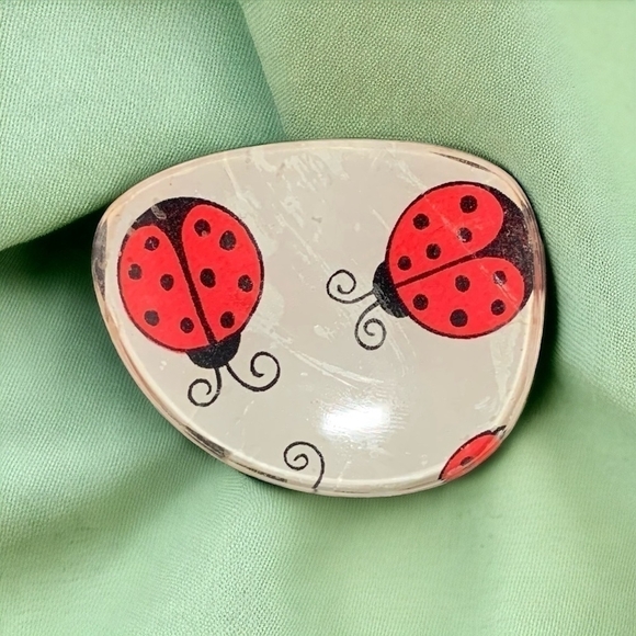 Vintage Ladybugs Brooch Rare Glass Over Ladybug Print Pin Brooch Costume Jewelry - Picture 1 of 3
